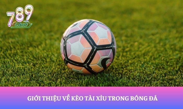 Kèo tài xỉu bóng đá có gì đặc biệt? Cách nhận định trước mỗi trận cầu 1 Giới thiệu về kèo tài xỉu trong bóng đá