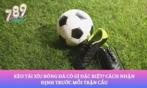 Kèo Tài Xỉu