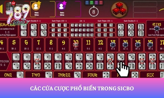 Hướng dẫn chơi Sicbo 789Club dành cho newbie 2 Các cửa cược phổ biến trong Sicbo
